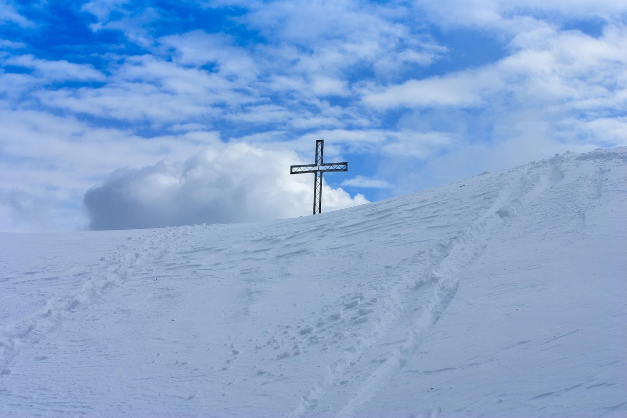 聚名网实名账号:巴士报站app 详情下载教程