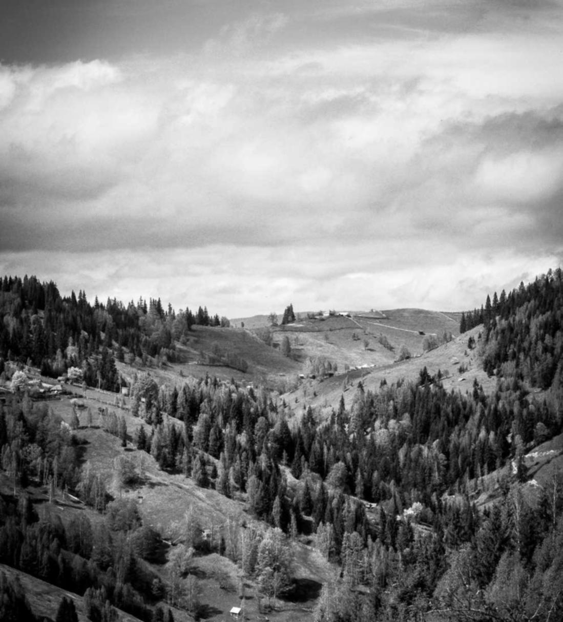 XSS漏洞暴露风险大！不可忽视的网站安全威胁