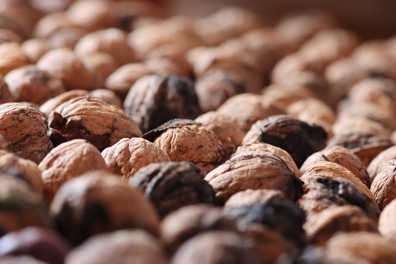 恒久欧陆代理注册