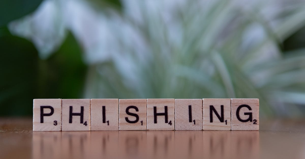 铁塔猫日月双爆珠（粗）：湖南软件开发代理平台