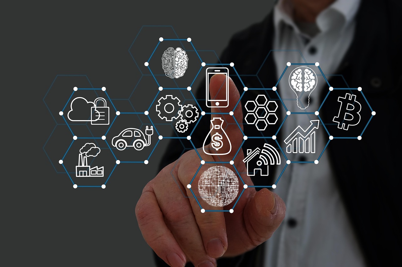 星美生活实名账号：河口油柑购买平台