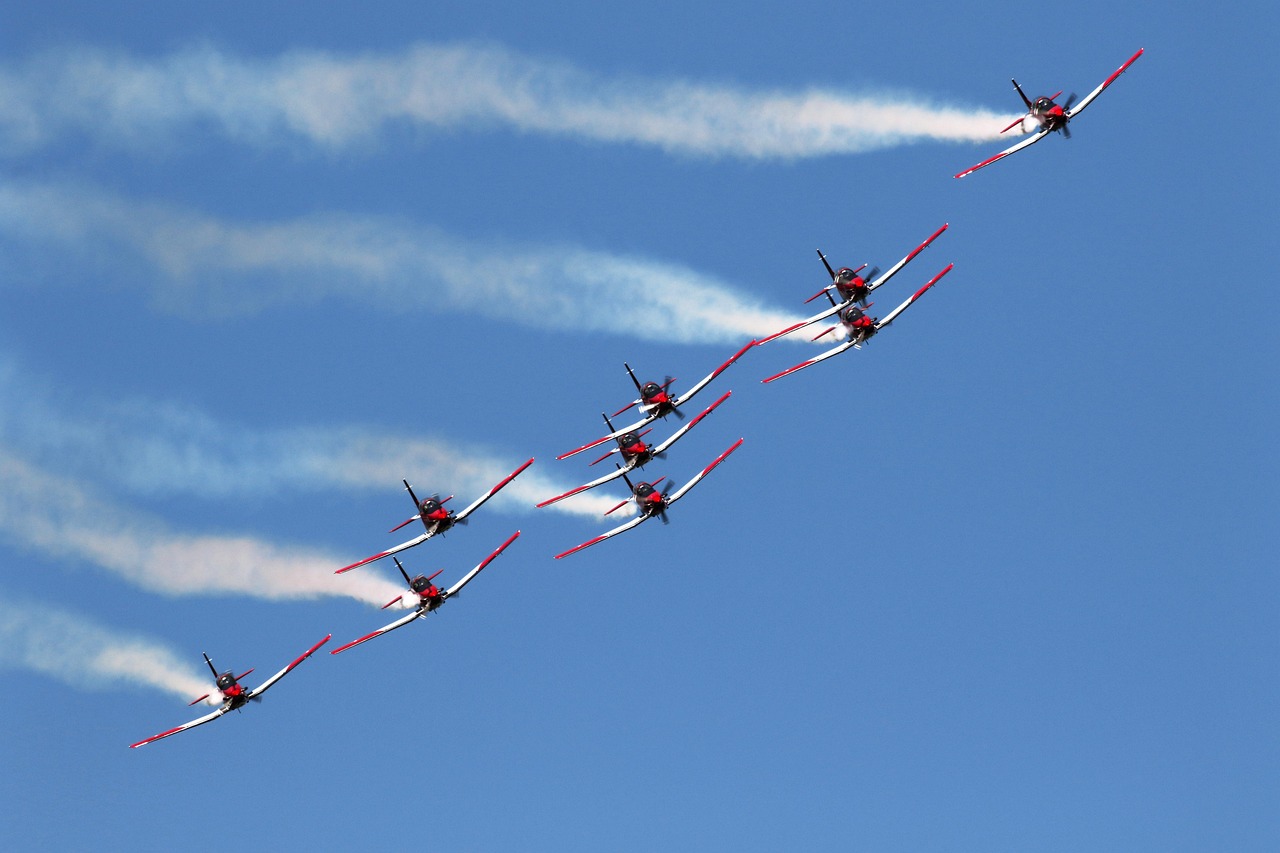 战争怒吼：详情下载教程福建采集app