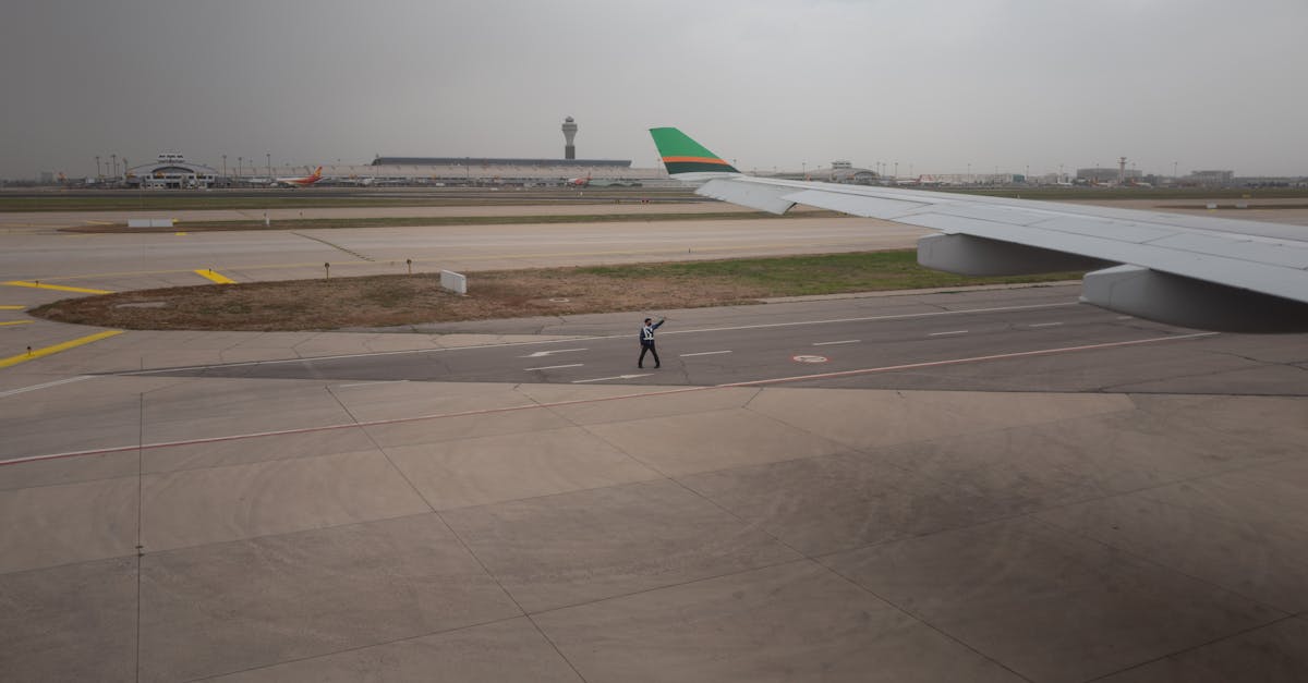 方盒绿大熊猫：流量在线购买平台