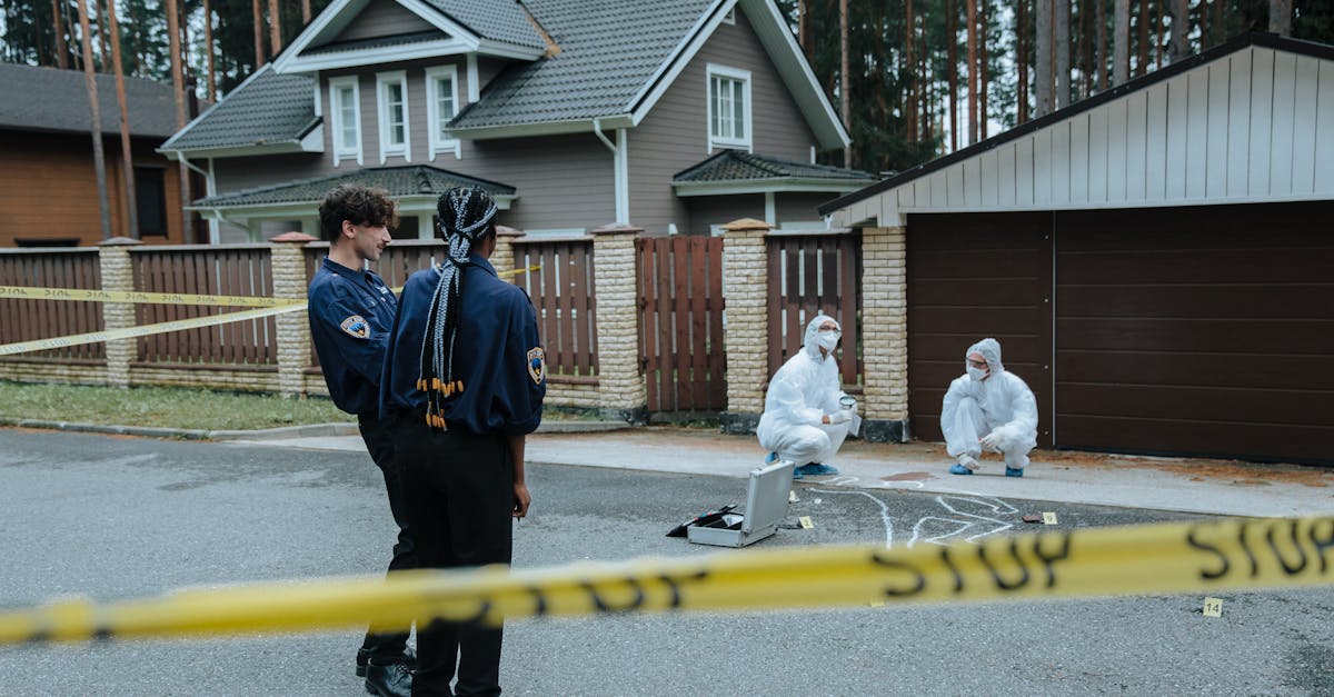 游戏平台的安全性和防技术支持技术