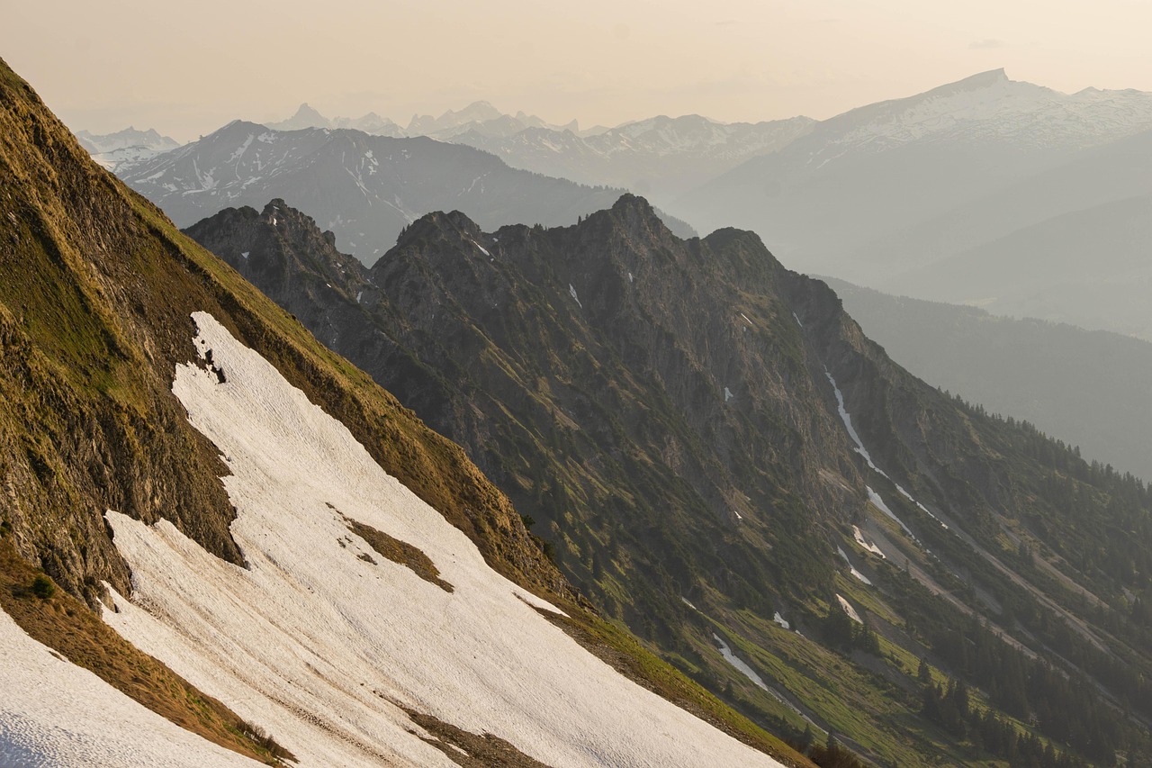 无嘴黄骆驼：辉县代理商标注册